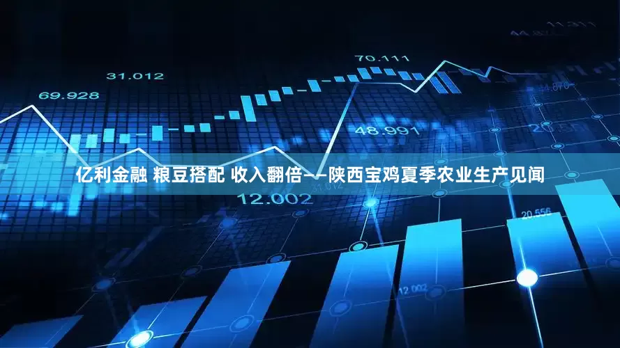 亿利金融 粮豆搭配 收入翻倍——陕西宝鸡夏季农业生产见闻