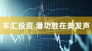 丰汇投资 潘功胜在美发声